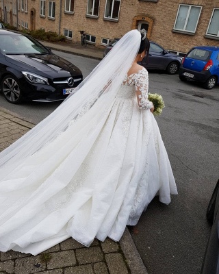 Brautkleider Große Größe | Hochzeitskleider Spitze Mit Ärmel_5