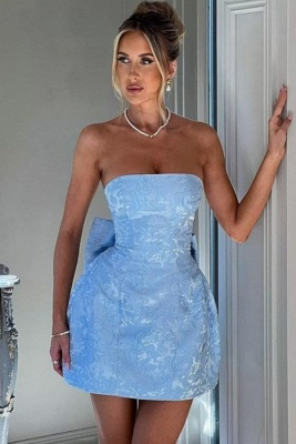 Sky Blue Cocktail Dresses Short | Simple Prom Dresses Lace_9