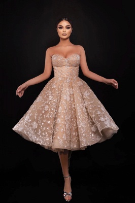 Champagne Wedding Dresses Short Wedding Dresses with Lace